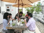 御堂筋野菜クラブ.jpg